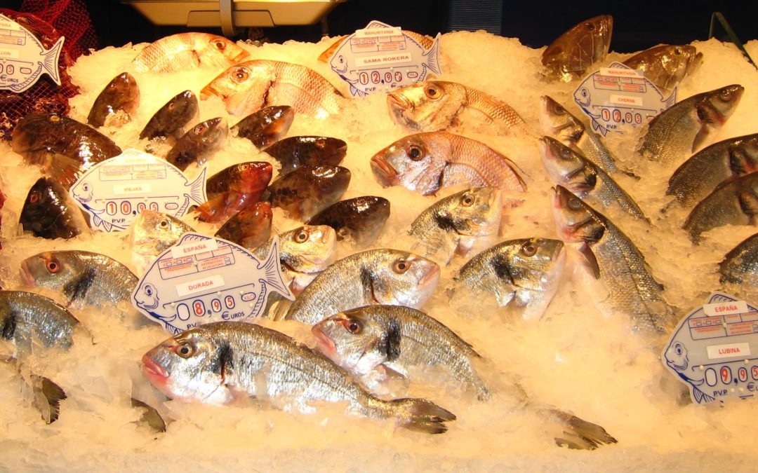 Mer fisk til folket!