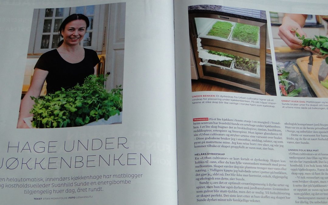 Urban Cultivator – grønn glede!